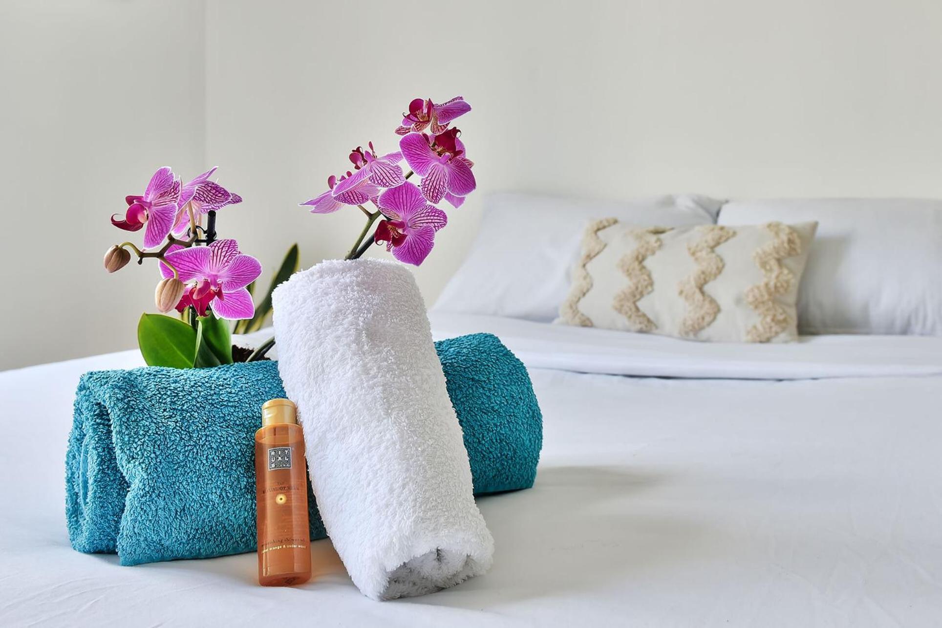 Apartament Soyeux De La Bruyere/ Grenoble*Parking Gratuit Zewnętrze zdjęcie